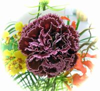 受付・花2.JPG