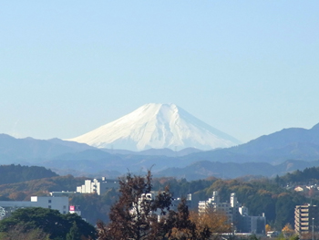 飯能老年病センターからの富士山.jpg