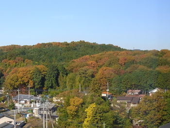 飯能老年病センターから見える景色.jpg