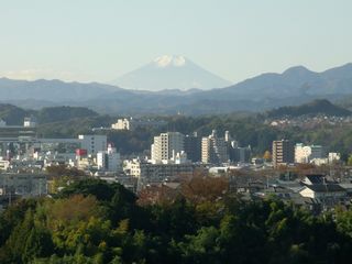 屋上からの富士.jpg