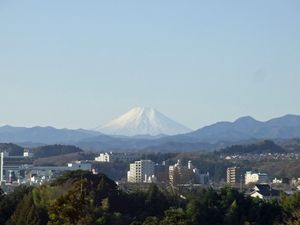 1230fuji.jpg