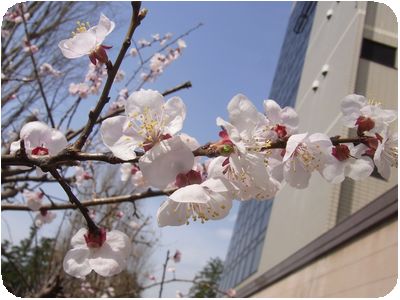 病院受付・花.jpg