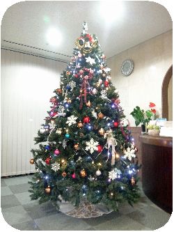 クリスマスツリー2014(1).jpg