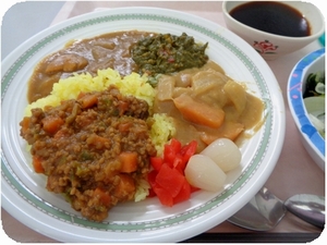 ブログ用カレー盛り合わせ.jpg